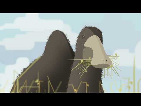 Camou student showreel